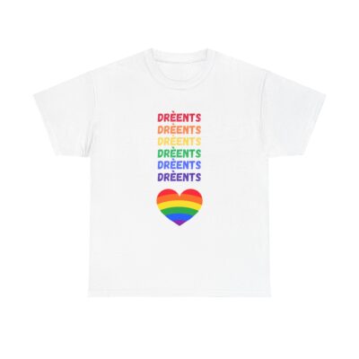T-shirt Drèentse regenboog veur vrouwlu